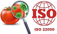 Что представляет собой стандарт ISO 22000